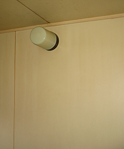 �����{�H�O